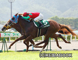 カラープリント(アルミ枠なし)2012年9月2日小倉11R 小倉2歳ステークス(マイネルエテルネル)