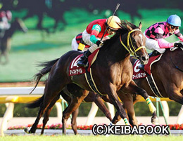 カラープリント(アルミ枠付き)2012年10月13日東京11R 府中牝馬ステークス(マイネイサベル)