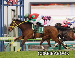 カラープリント(アルミ枠付き)2013年3月10日中山11R 中山牝馬ステークス(マイネイサベル)