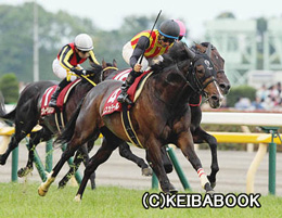 カラープリント(アルミ枠なし)2013年5月26日東京12R 目黒記念(ムスカテール)