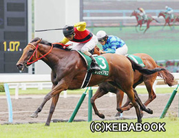 カラープリント(アルミ枠なし)2013年9月1日小倉11R 小倉2歳ステークス(ホウライアキコ)