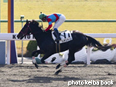 カラープリント(アルミ枠付き)2014年2月1日京都2R 3歳未勝利(レデントーレ)