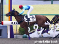 カラーパネル2014年2月2日京都1R 3歳未勝利(マーシレス)