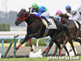 カラープリント(アルミ枠なし)2014年2月2日京都6R 3歳新馬(トーセンマタコイヤ)