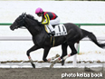 カラープリント(アルミ枠付き)2014年2月8日京都1R 3歳未勝利(デモニオ)