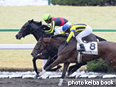 カラープリント(アルミ枠付き)2014年2月8日京都3R 3歳未勝利(マトリョーシカ)