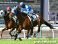 カラープリント(アルミ枠なし)2014年2月8日小倉3R 3歳未勝利(ワンダフルワールド)