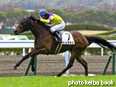 カラープリント(アルミ枠付き)2014年2月9日小倉4R 3歳未勝利(トシザキミ)