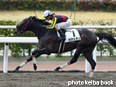 カラープリント(アルミ枠付き)2014年2月9日小倉9R 4歳上500万下(サナシオン)