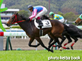 カラープリント(アルミ枠付き)2014年2月15日小倉5R 3歳未勝利(メイショウチギリ)