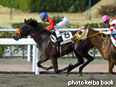 カラーパネル2014年2月16日小倉1R 3歳未勝利(コスモラヴモア)