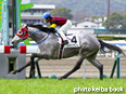 カラープリント(アルミ枠付き)2014年2月16日小倉5R 3歳新馬(エイシンフランキー)