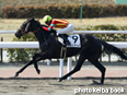 カラープリント(アルミ枠付き)2014年2月22日小倉5R 4歳上500万下(マルシアーノ)