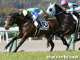 カラープリント(アルミ枠なし)2014年2月23日小倉3R 3歳未勝利(ヤマノハヤブサ)