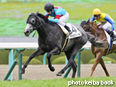 カラープリント(アルミ枠付き)2014年3月1日阪神5R 3歳未勝利(パドルウィール)