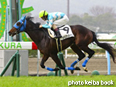 カラープリント(アルミ枠なし)2014年3月1日小倉4R 3歳未勝利(シベリアンタイガー)