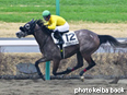 カラープリント(アルミ枠なし)2014年3月1日中山3R 3歳新馬(ウエスタンユーノー)
