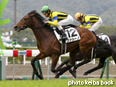 カラーパネル2014年3月2日小倉4R 3歳未勝利(ファシーノ)