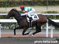 カラープリント(アルミ枠なし)2014年3月2日小倉5R 4歳上500万下(ロケットダッシュ)