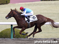 カラープリント(アルミ枠付き)2014年3月9日阪神2R 3歳未勝利(アドマイヤランディ)