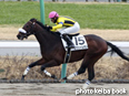 カラープリント(アルミ枠付き)2014年3月9日中山4R 3歳500万下(ロワジャルダン)