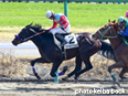 カラープリント(アルミ枠なし)2014年3月16日中山3R 3歳未勝利(タマモマズルカ)