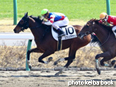 カラープリント(アルミ枠付き)2014年3月16日中山4R 3歳新馬(スプリングサヴァン)