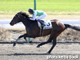 カラープリント(アルミ枠なし)2014年3月21日中山2R 3歳未勝利(クロフネフリート)