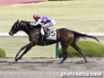 カラープリント(アルミ枠付き)2014年3月22日阪神1R 3歳未勝利(オーシャンブルグ)