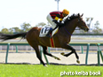 カラープリント(アルミ枠付き)2014年3月22日中京4R 障害未勝利(エーシンホワイティ)