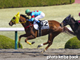 カラーパネル2014年3月23日阪神1R 3歳未勝利(メモリーレーン)