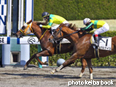 カラーパネル2014年3月23日阪神2R 3歳未勝利(ゼンノスサノヲ)