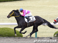 カラーパネル2014年4月6日阪神1R 3歳未勝利(サクラヴァローレ)