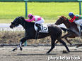 カラーパネル2014年4月6日中山1R 3歳未勝利(サクラフローラ)