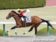 カラーパネル2014年4月12日阪神3R 3歳未勝利(アダムズアップル)