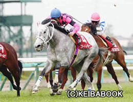 カラープリント(アルミ枠付き)2014年4月12日阪神11R 阪神牝馬ステークス(スマートレイアー)