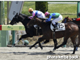 カラープリント(アルミ枠なし)2014年4月12日中山4R 3歳未勝利(コクリュウノマイ)