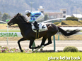 カラープリント(アルミ枠なし)2014年4月12日福島2R 3歳未勝利(ステイインシアトル)