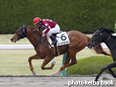 カラープリント(アルミ枠付き)2014年4月13日阪神1R 3歳未勝利(ローレルベローチェ)