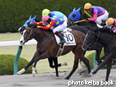 カラープリント(アルミ枠付き)2014年4月13日阪神4R 3歳500万下(トラキチシャチョウ)