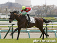 カラープリント(アルミ枠なし)2014年4月13日中山4R 3歳未勝利(マイネルヴェルス)