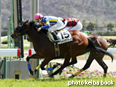 カラープリント(アルミ枠付き)2014年4月13日福島5R 3歳未勝利(シャドウカラーズ)