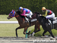 カラープリント(アルミ枠付き)2014年4月19日阪神1R 3歳未勝利(メイショウアズミノ)