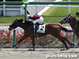 カラーパネル2014年4月19日中山3R 3歳未勝利(パイメイメイ)