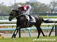 カラープリント(アルミ枠付き)2014年4月19日中山5R 3歳未勝利(ウインインスパイア)