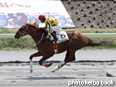 カラープリント(アルミ枠付き)2014年4月19日福島3R 3歳未勝利(ケイリンボス)