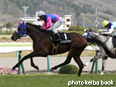 カラープリント(アルミ枠付き)2014年4月20日福島11R 奥の細道特別(メイショウブシン)