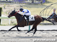 カラープリント(アルミ枠なし)2014年4月26日福島1R 3歳未勝利(サンレイクウッド)