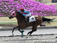 カラープリント(アルミ枠付き)2014年4月26日福島3R 3歳未勝利(メリーウィドウ)