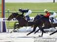 カラープリント(アルミ枠付き)2014年4月27日京都3R 3歳未勝利(ヨヨギマック)